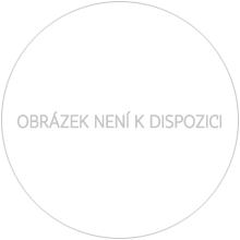 Náhled Averzní strany - Platinová investiční medaile - Románský sloh