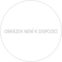 Náhled Averzní strany - Bohumil Hrabal - zlato 1/2 Oz Proof